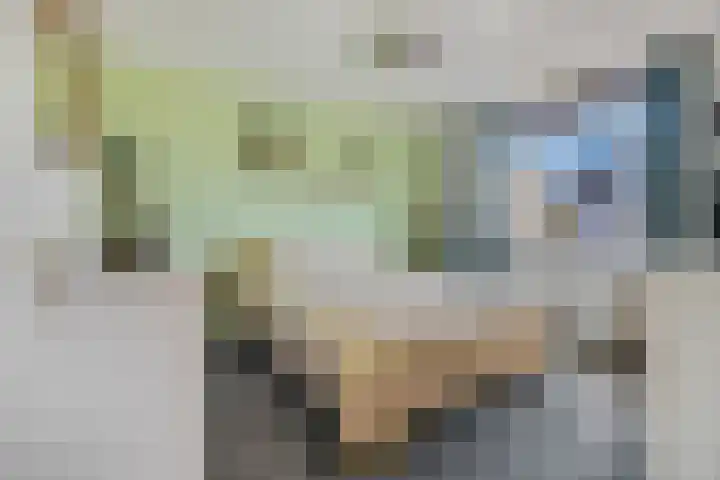 Sterremos 20 Veenendaal thumbnail 29