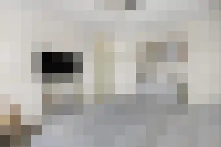 Sterremos 20 Veenendaal thumbnail 30
