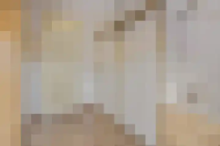 Sterremos 20 Veenendaal thumbnail 34