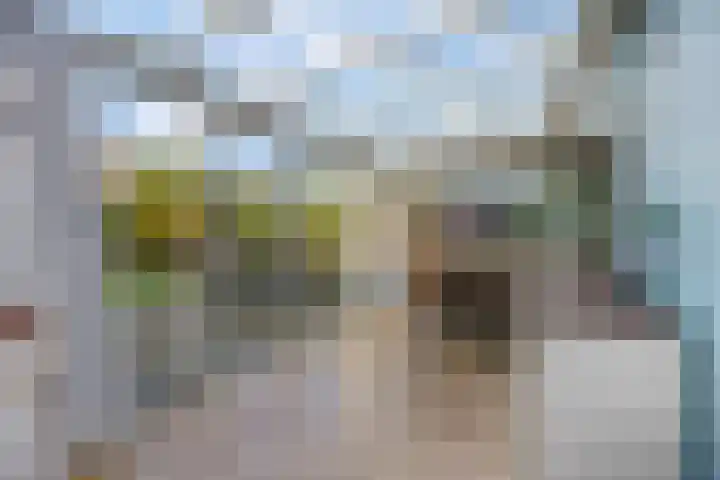 Sterremos 20 Veenendaal thumbnail 4
