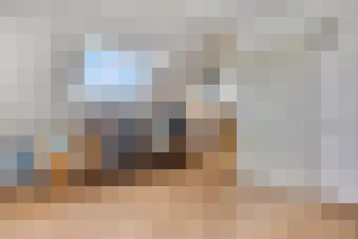Sterremos 20 Veenendaal thumbnail 41