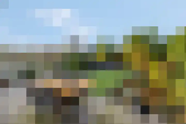 Sterremos 20 Veenendaal thumbnail 42
