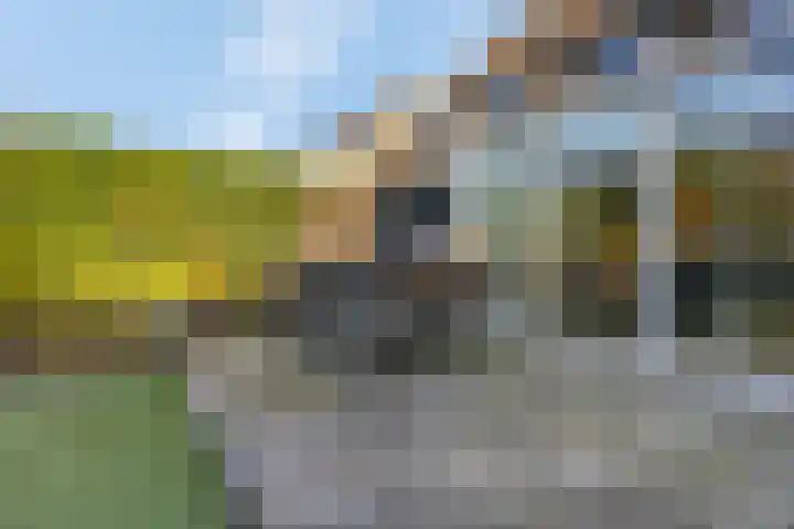 Sterremos 20 Veenendaal thumbnail 43