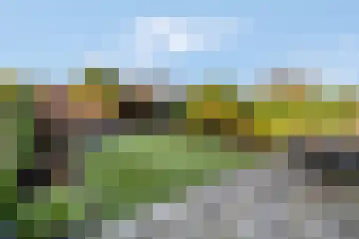 Sterremos 20 Veenendaal thumbnail 44