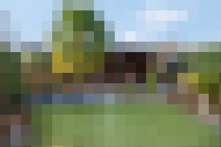 Sterremos 20 Veenendaal thumbnail 45