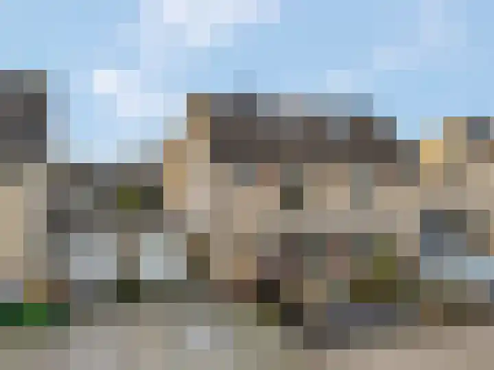 Sterremos 20 Veenendaal thumbnail 5
