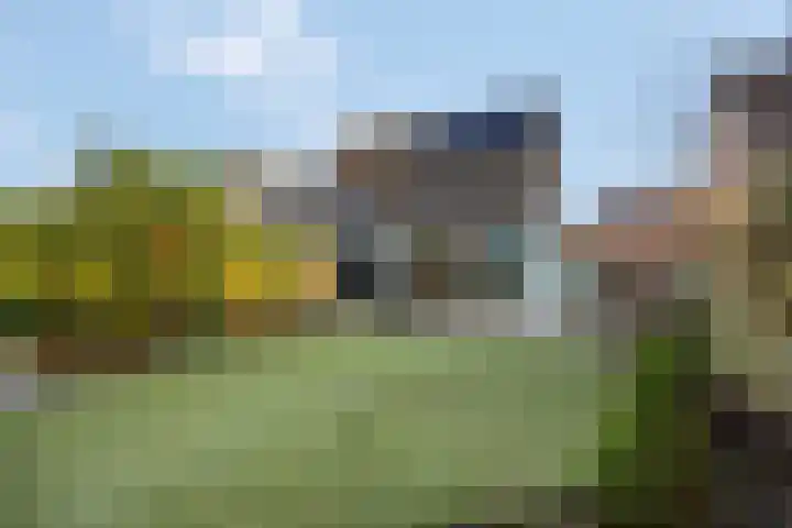 Sterremos 20 Veenendaal thumbnail 50