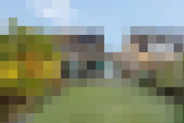Sterremos 20 Veenendaal thumbnail 51