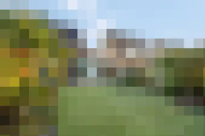 Sterremos 20 Veenendaal thumbnail 52