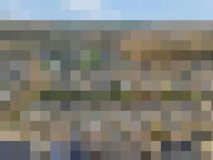 Sterremos 20 Veenendaal thumbnail 53