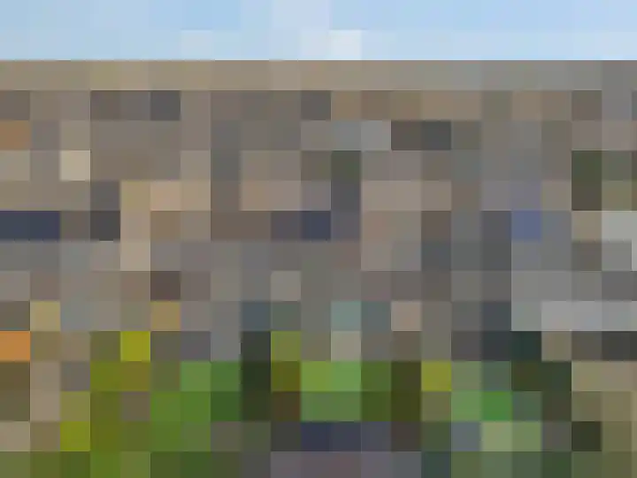 Sterremos 20 Veenendaal thumbnail 54