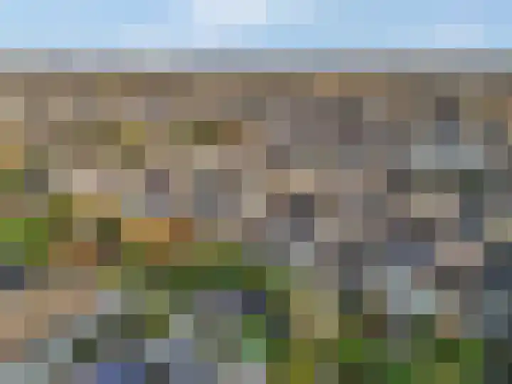 Sterremos 20 Veenendaal thumbnail 55