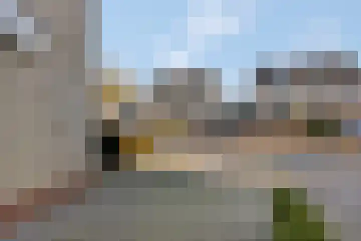 Sterremos 20 Veenendaal thumbnail 56
