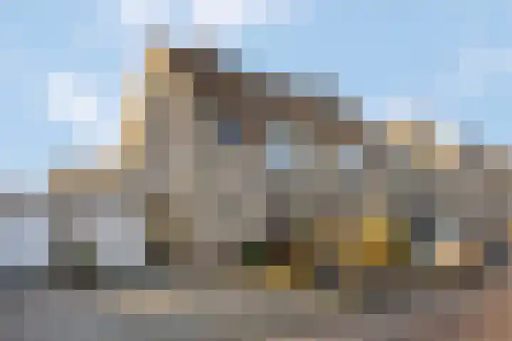 Sterremos 20 Veenendaal thumbnail 57