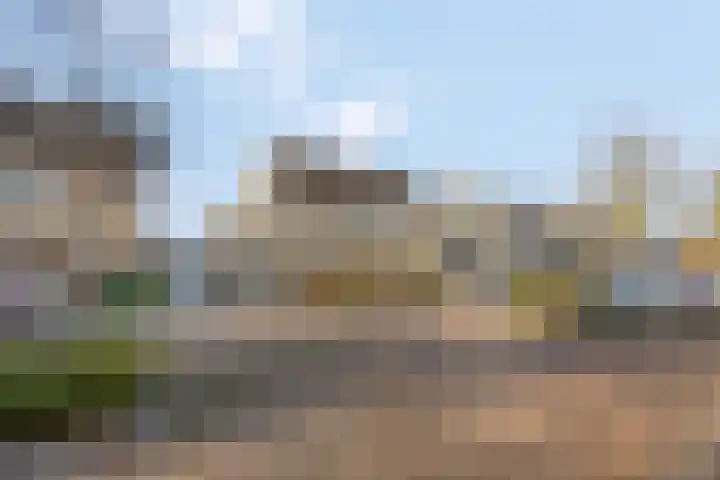 Sterremos 20 Veenendaal thumbnail 58