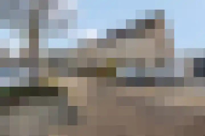 Sterremos 20 Veenendaal thumbnail 59