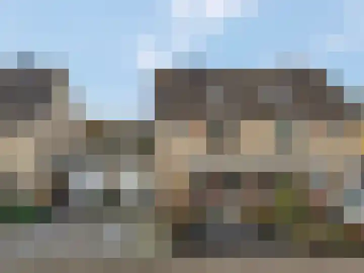 Sterremos 20 Veenendaal thumbnail 6