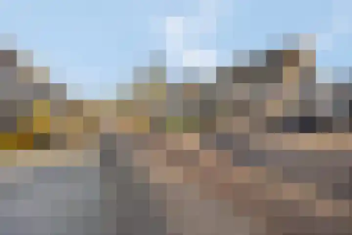 Sterremos 20 Veenendaal thumbnail 60