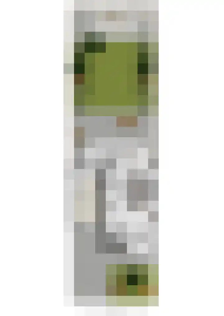 Sterremos 20 Veenendaal thumbnail 61