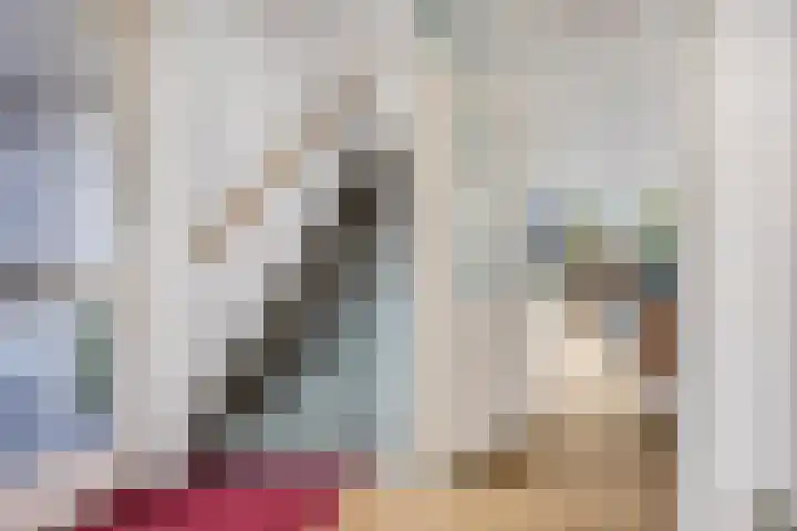 Sterremos 20 Veenendaal thumbnail 8
