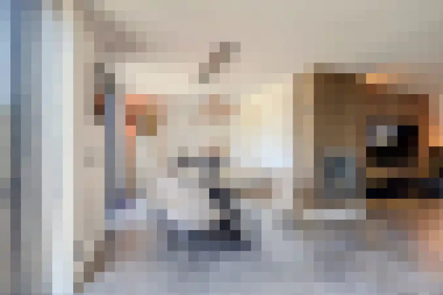 Sterremos 22 Veenendaal thumbnail 10