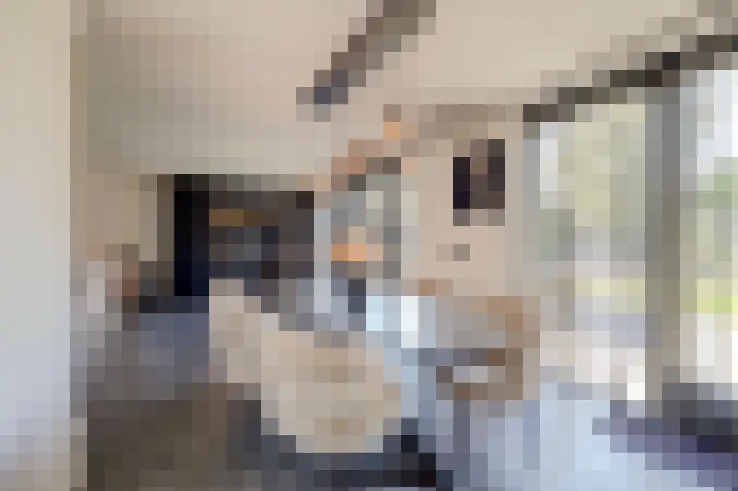 Sterremos 22 Veenendaal thumbnail 12