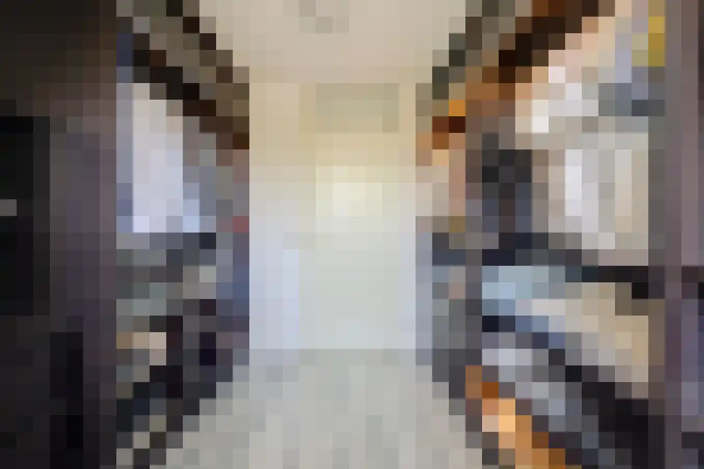 Sterremos 22 Veenendaal thumbnail 19