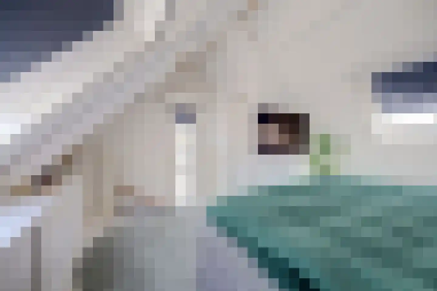 Sterremos 22 Veenendaal thumbnail 26