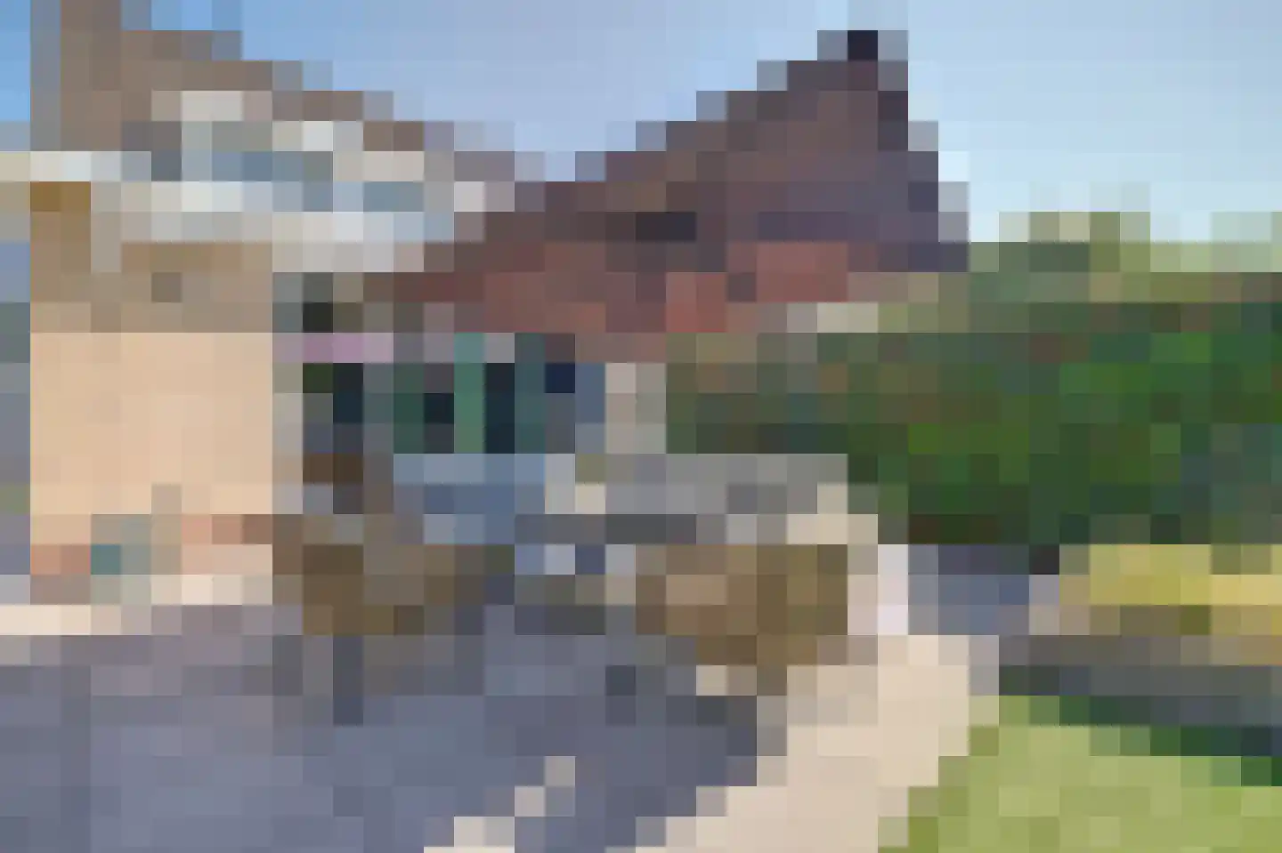 Sterremos 22 Veenendaal thumbnail 30