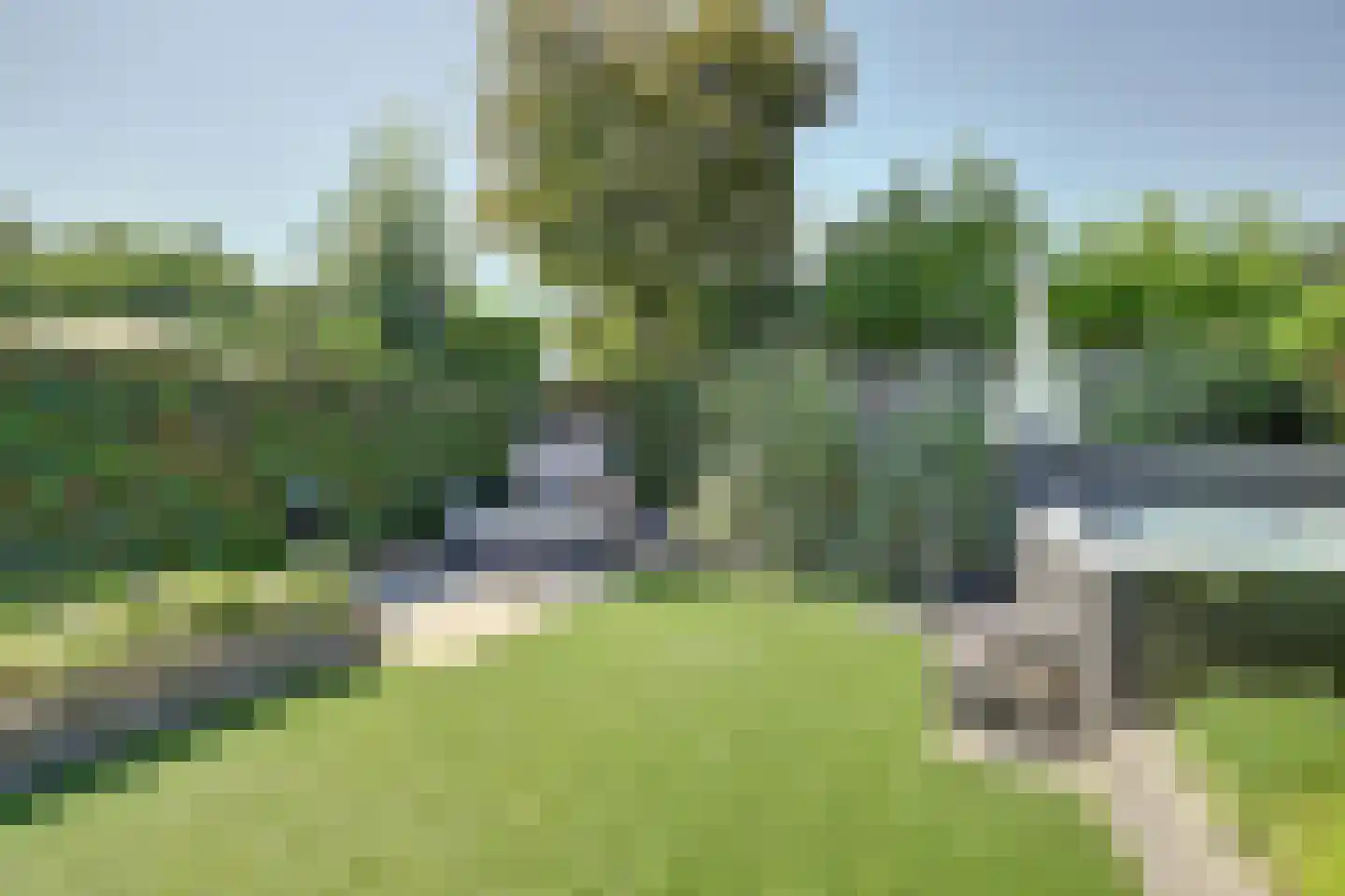 Sterremos 22 Veenendaal thumbnail 31