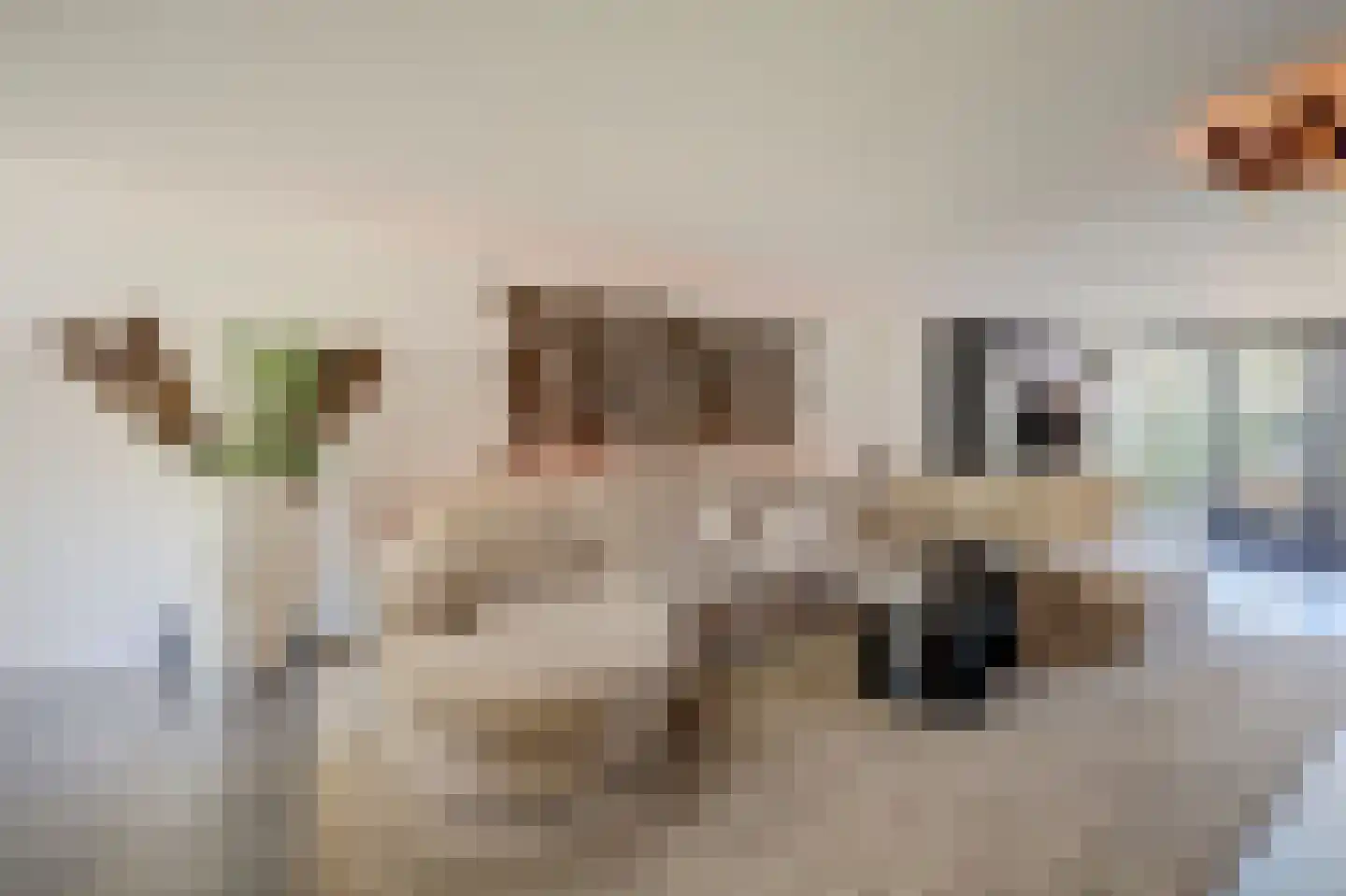 Sterremos 22 Veenendaal thumbnail 4