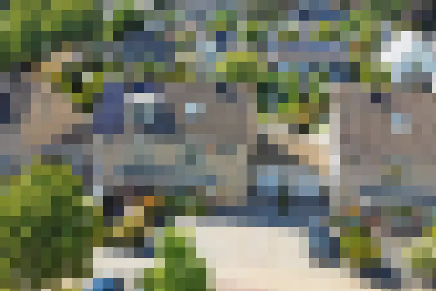 Sterremos 22 Veenendaal thumbnail 41
