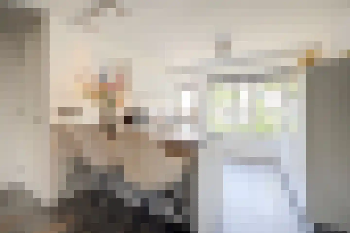 Sterremos 22 Veenendaal thumbnail 7