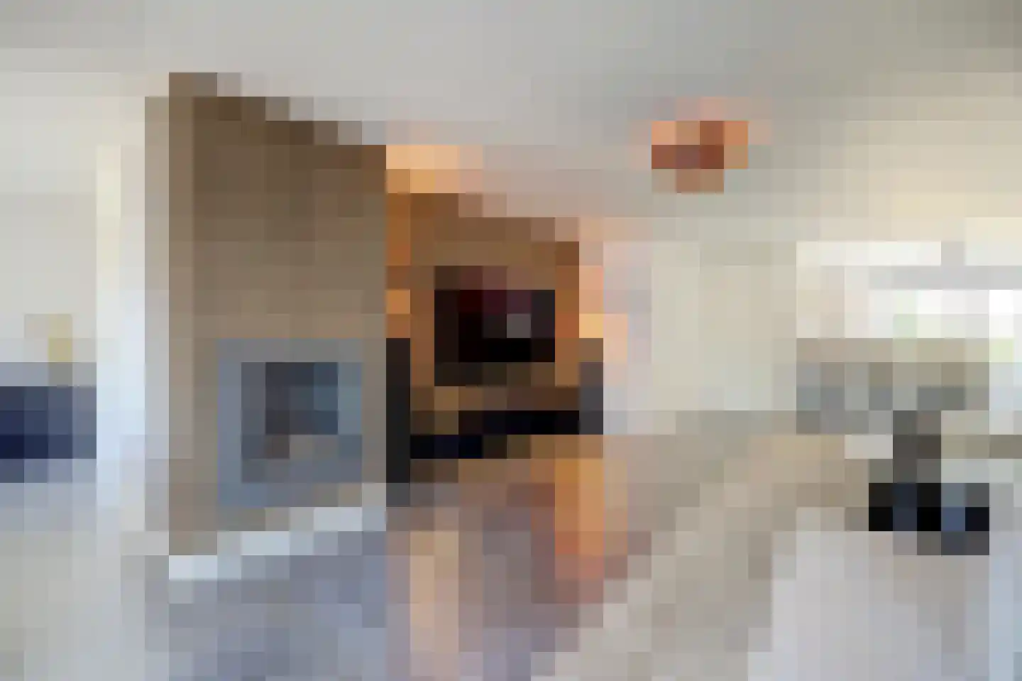 Sterremos 22 Veenendaal thumbnail 9
