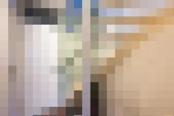 Sterremos 33 Reeuwijk thumbnail 16