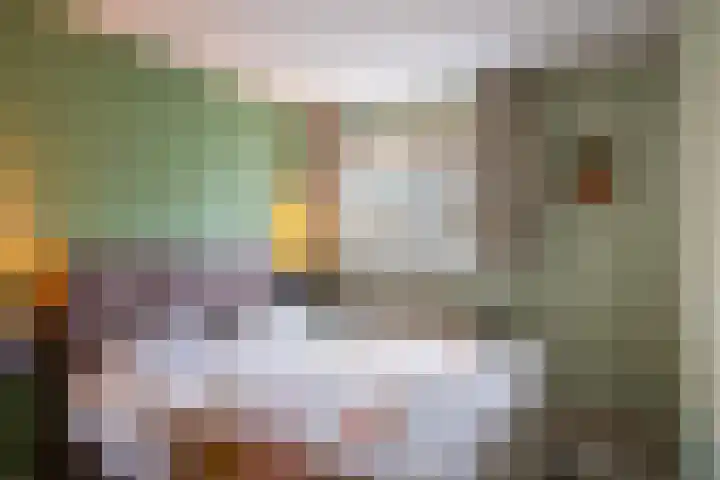 Sterremos 33 Reeuwijk thumbnail 17