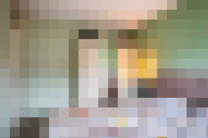 Sterremos 33 Reeuwijk thumbnail 18
