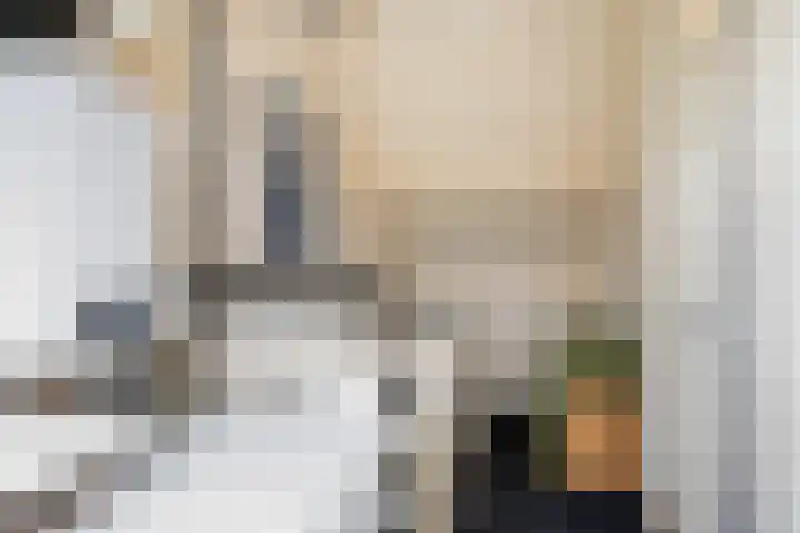 Sterremos 33 Reeuwijk thumbnail 24