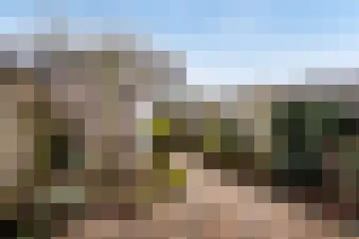 Sterremos 33 Reeuwijk thumbnail 28