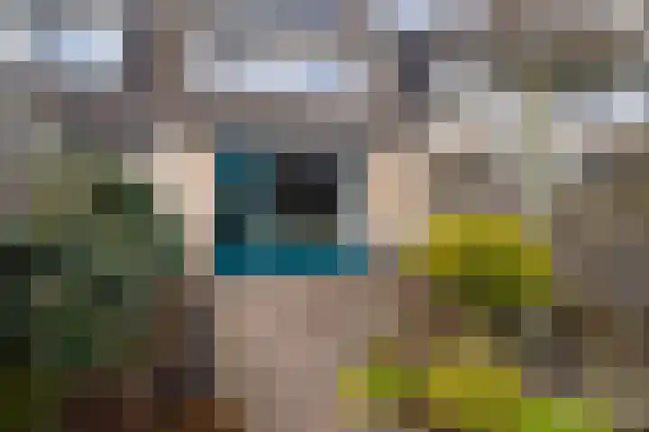 Sterremos 33 Reeuwijk thumbnail 29