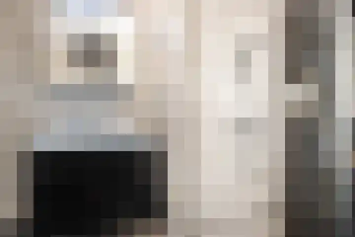 Sterremos 33 Reeuwijk thumbnail 4