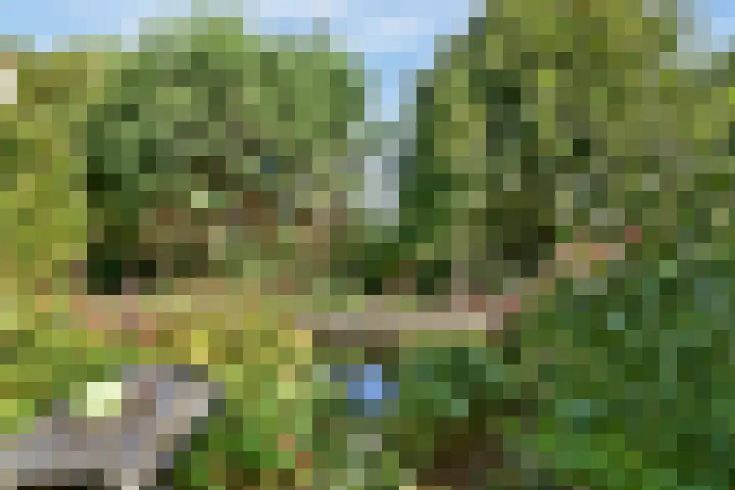 Sterremos 36 Reeuwijk thumbnail 11