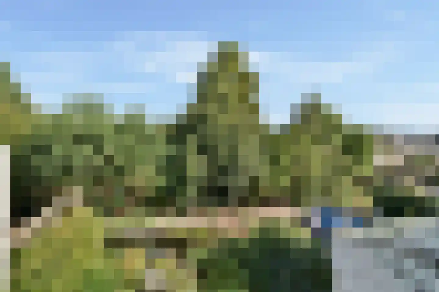 Sterremos 36 Reeuwijk thumbnail 18