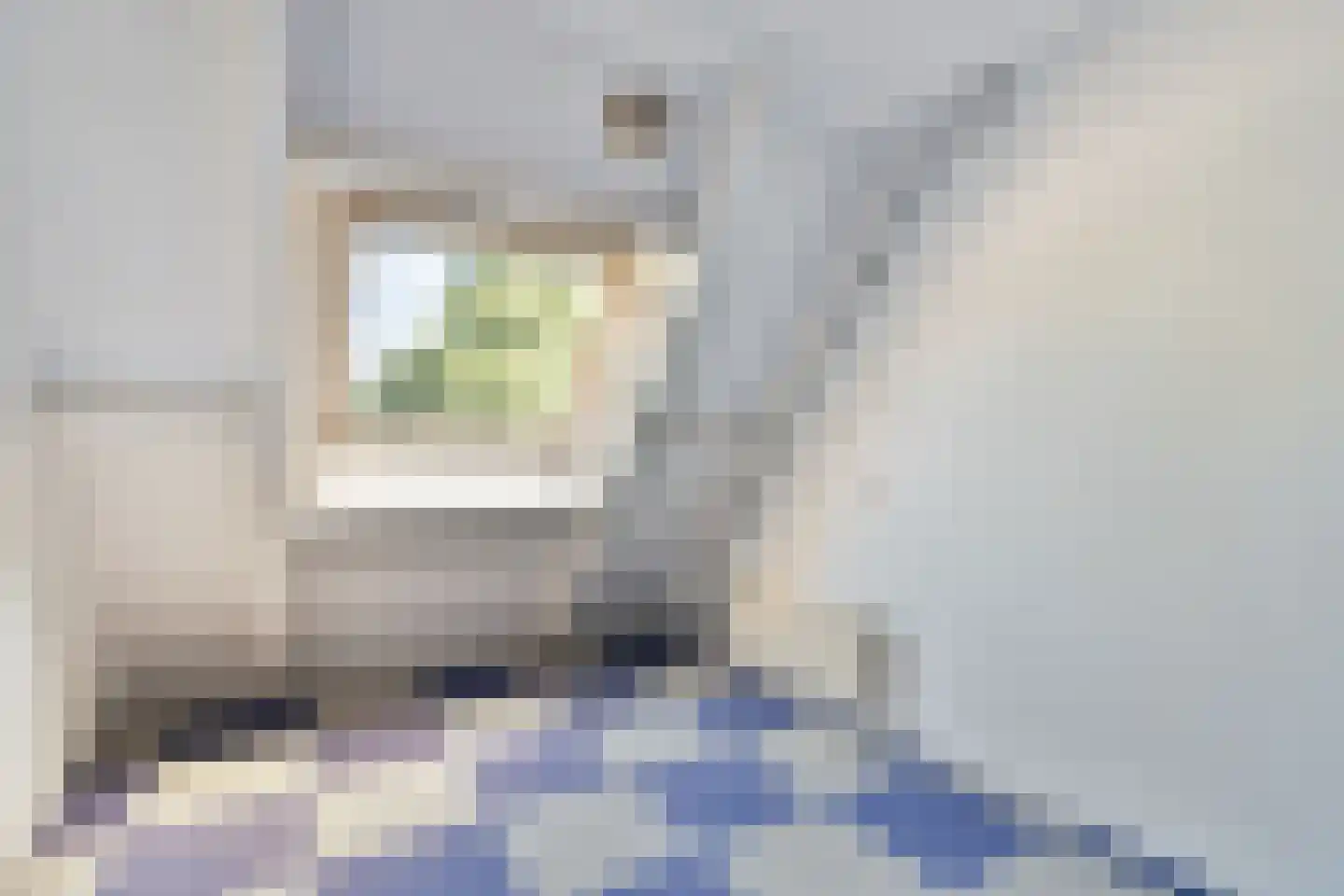 Sterremos 36 Reeuwijk thumbnail 20