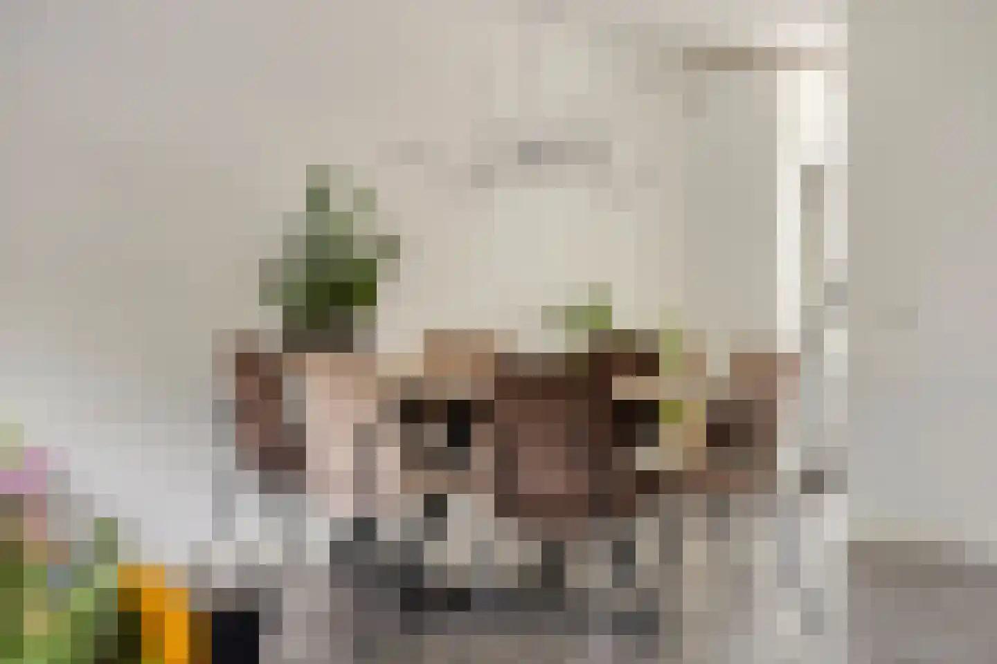 Sterremos 4 Veenendaal thumbnail 11