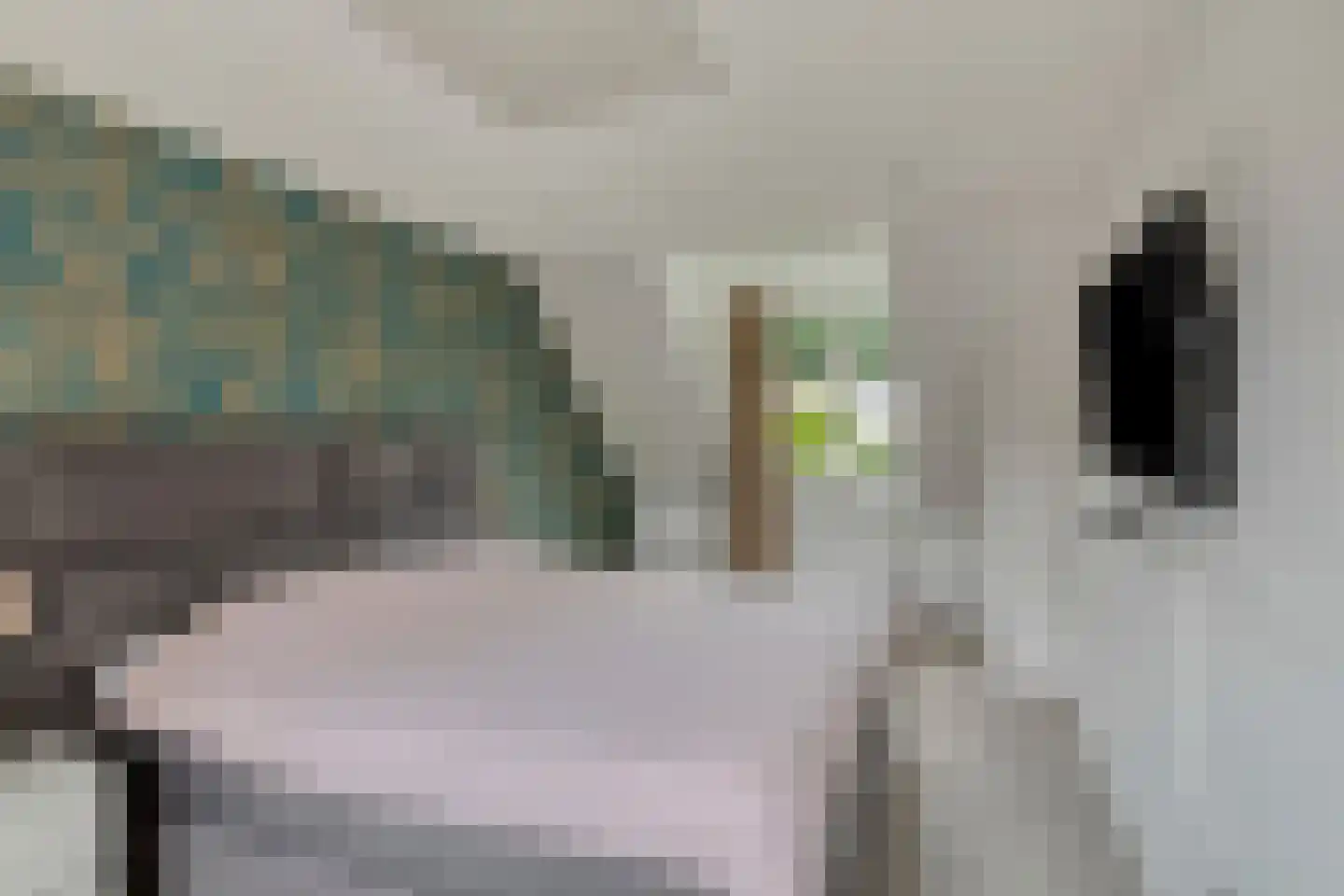 Sterremos 4 Veenendaal thumbnail 16