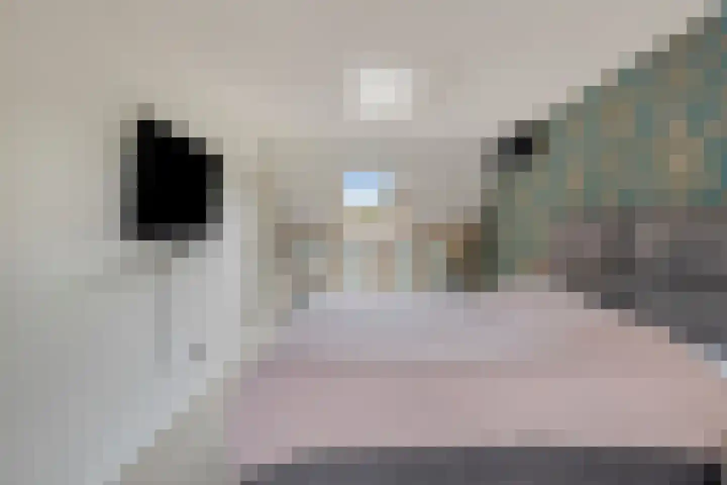 Sterremos 4 Veenendaal thumbnail 17