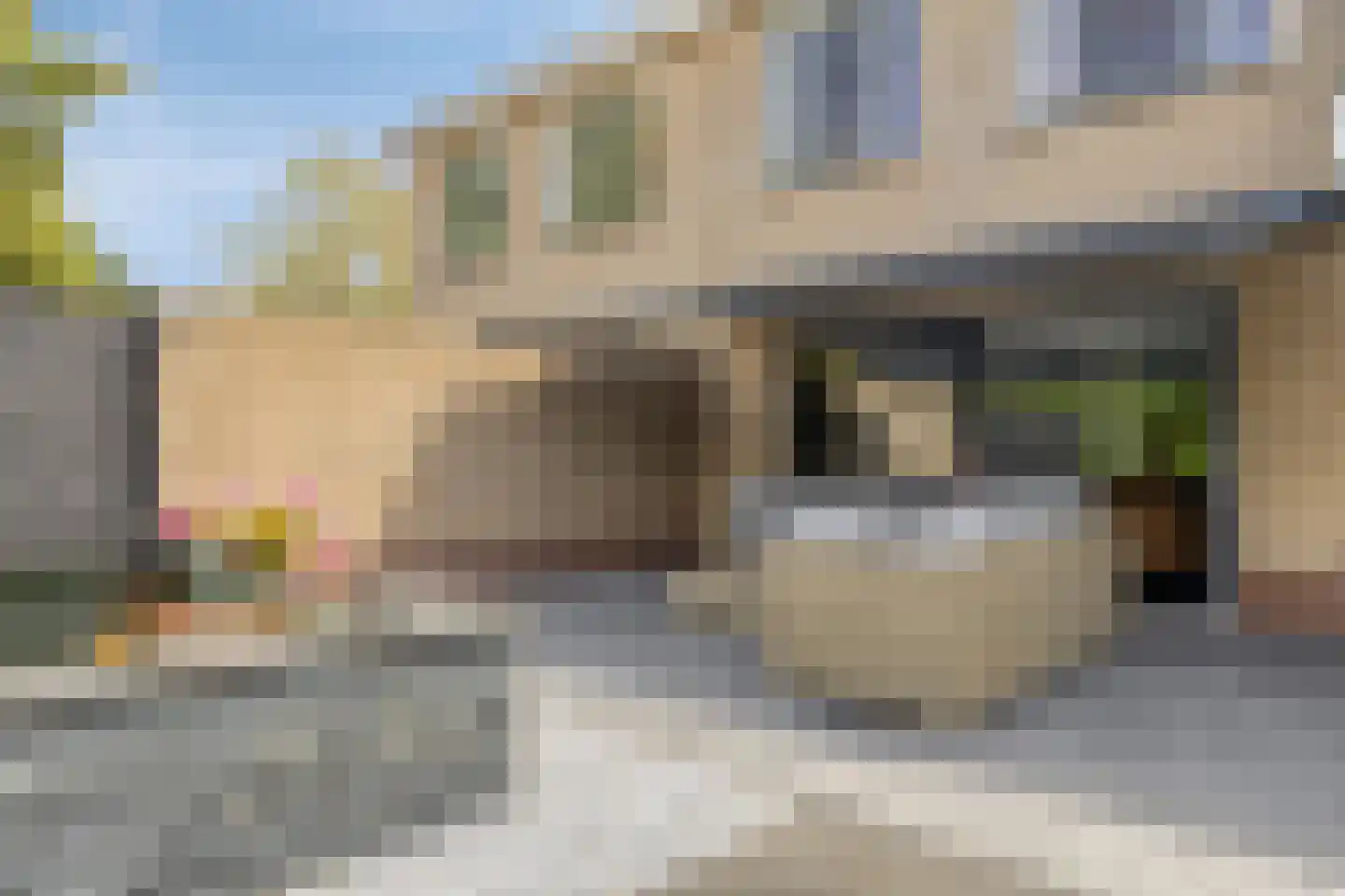Sterremos 4 Veenendaal thumbnail 27