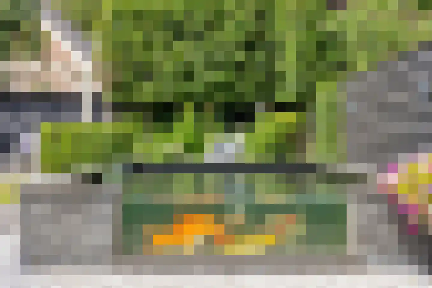 Sterremos 4 Veenendaal thumbnail 28