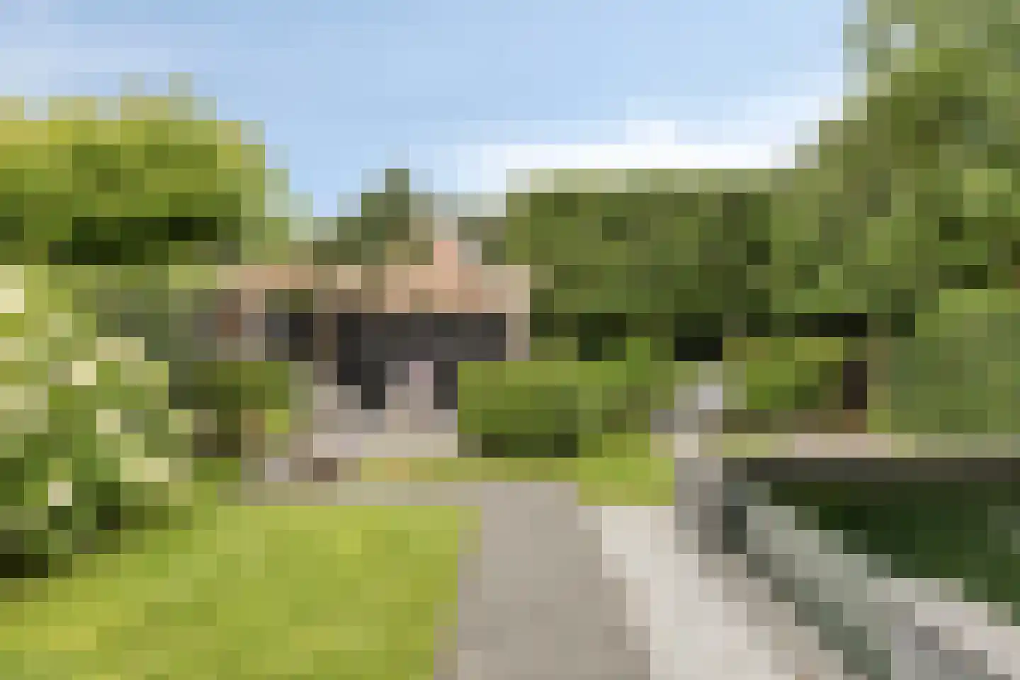 Sterremos 4 Veenendaal thumbnail 29